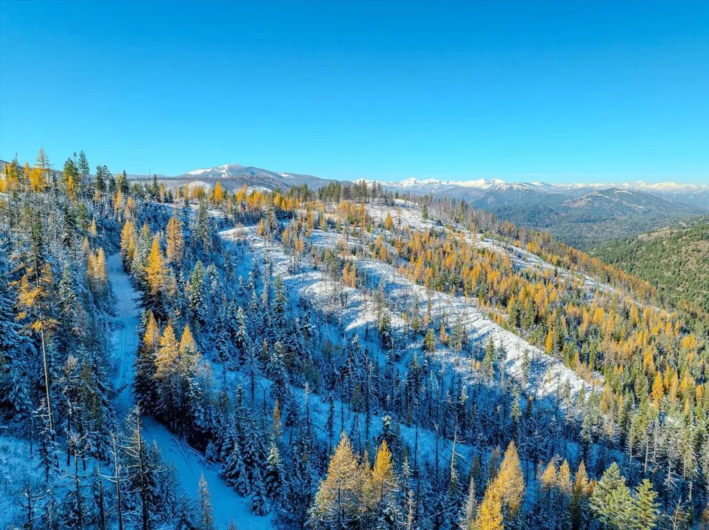 Nhn Mcginnis Meadows - Bayhorse Road Section 7 Libby MT 59923