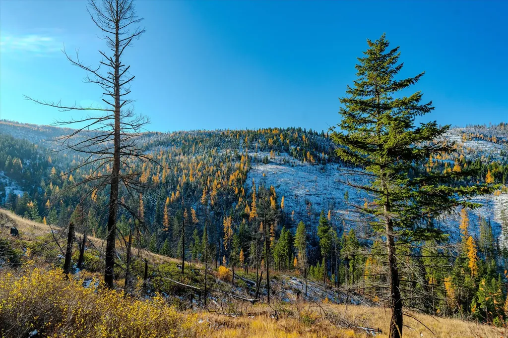 Nhn Mcginnis Meadows - Bayhorse Road Section 7 Libby MT 59923