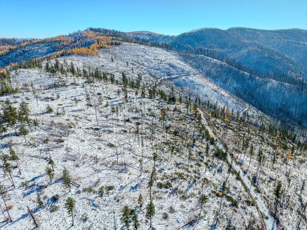 Nhn Mcginnis Meadows - Bayhorse Road Section 7 Libby MT 59923