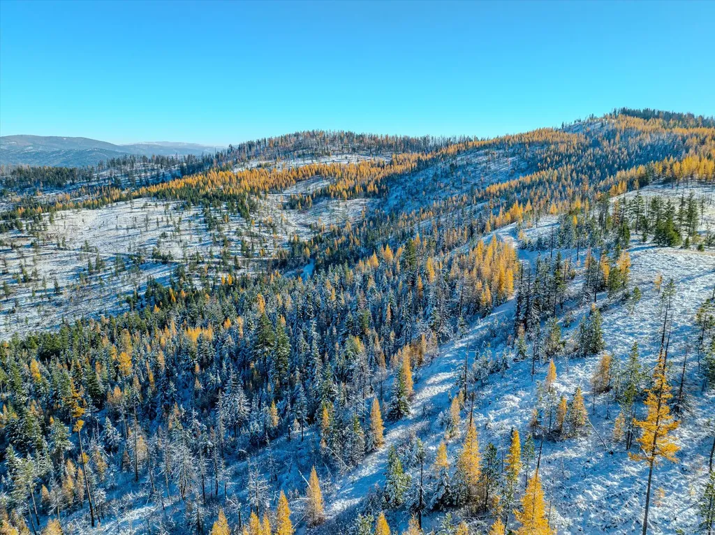Nhn Mcginnis Meadows - Bayhorse Road Section 7 Libby MT 59923