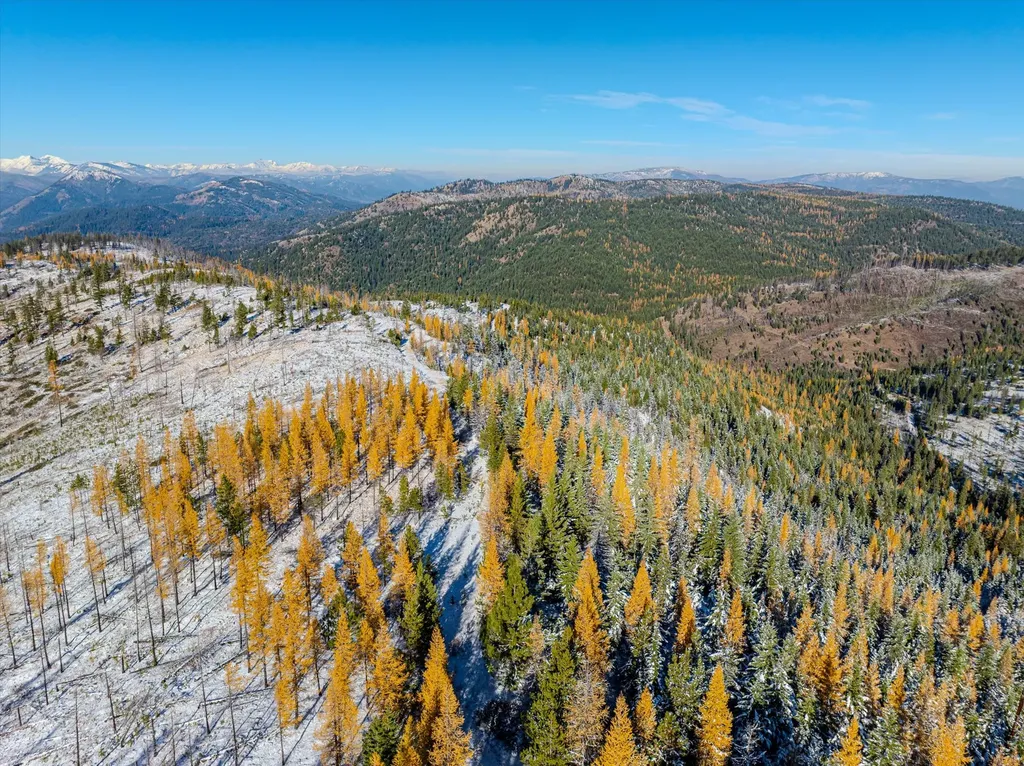 Nhn Mcginnis Meadows - Bayhorse Road Section 7 Libby MT 59923