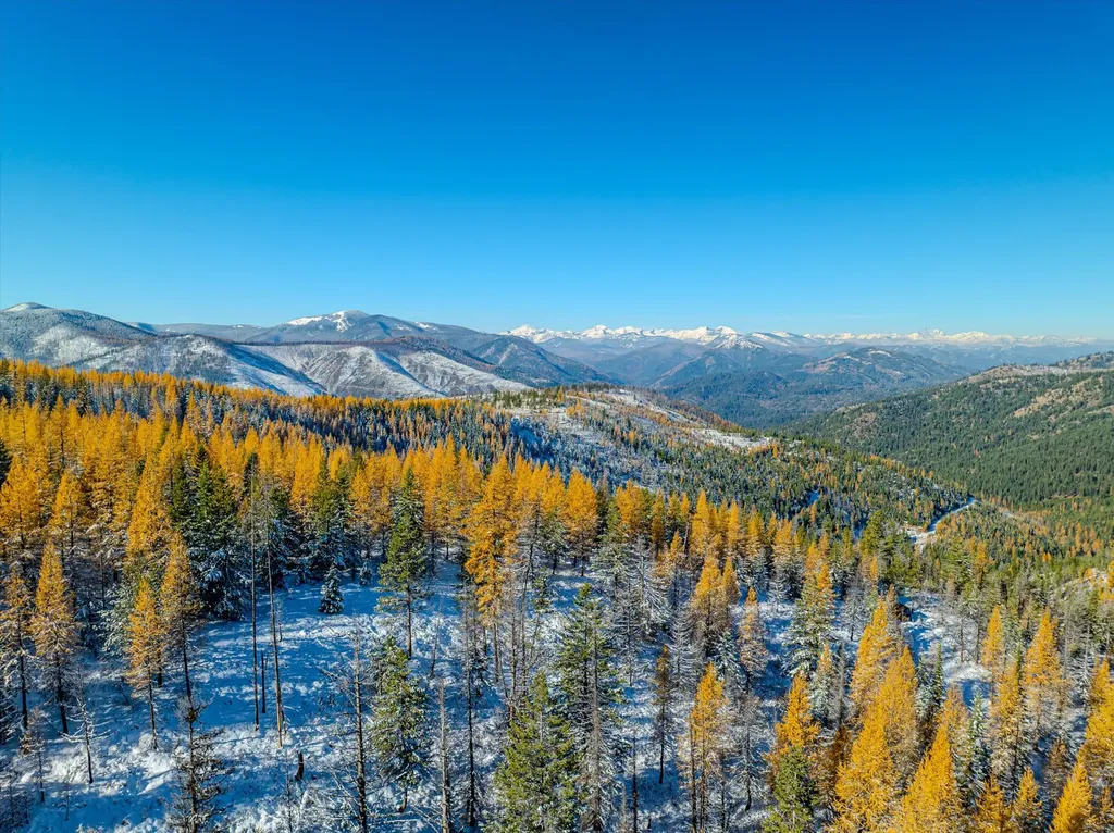 Nhn Mcginnis Meadows - Bayhorse Road Section 7 Libby MT 59923