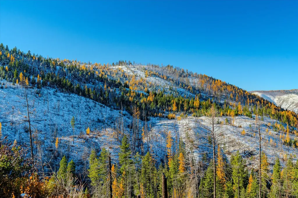 Nhn Mcginnis Meadows - Bayhorse Road Section 7 Libby MT 59923