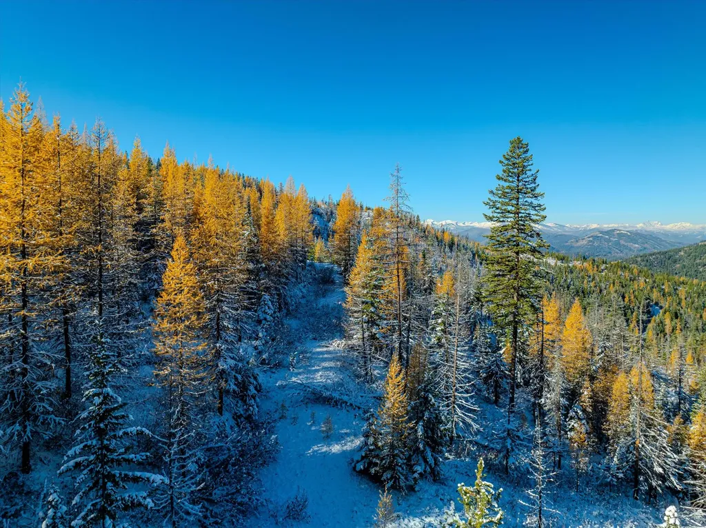 Nhn Mcginnis Meadows - Bayhorse Road Section 7 Libby MT 59923