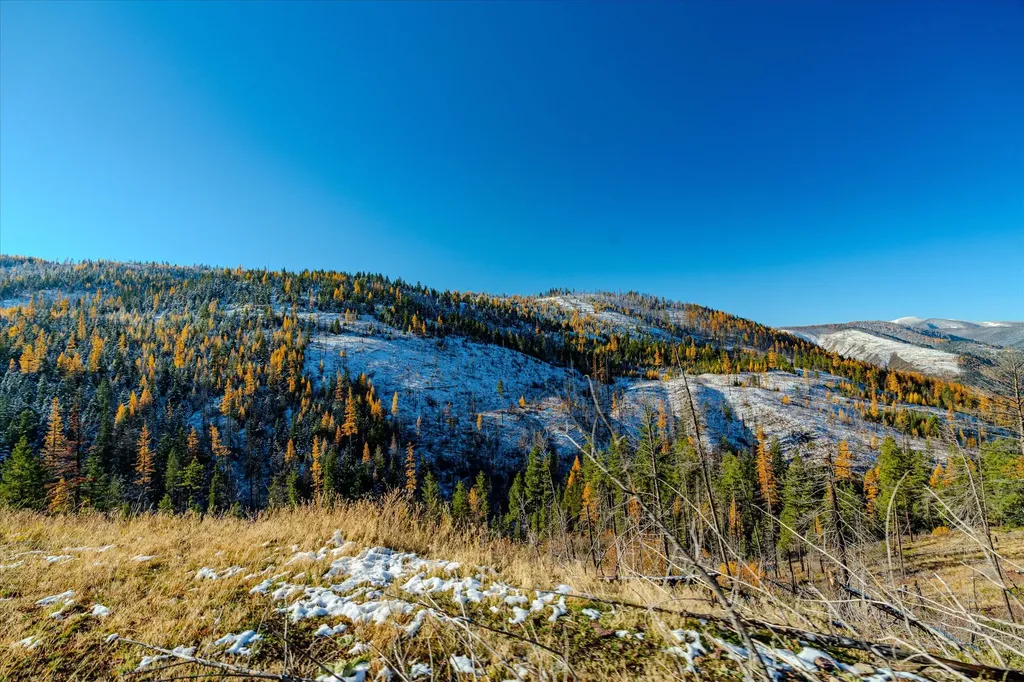 Nhn Mcginnis Meadows - Bayhorse Road Section 7 Libby MT 59923