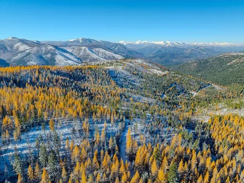 Nhn Mcginnis Meadows - Bayhorse Road Section 7 Libby MT 59923