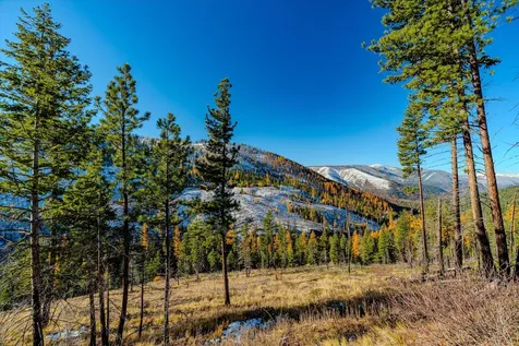 Nhn Mcginnis Meadows - Bayhorse Road Section 7 Libby MT 59923