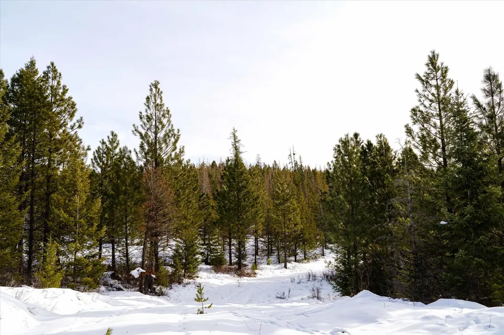 Nhn Whitney Lake Road Libby MT 59923