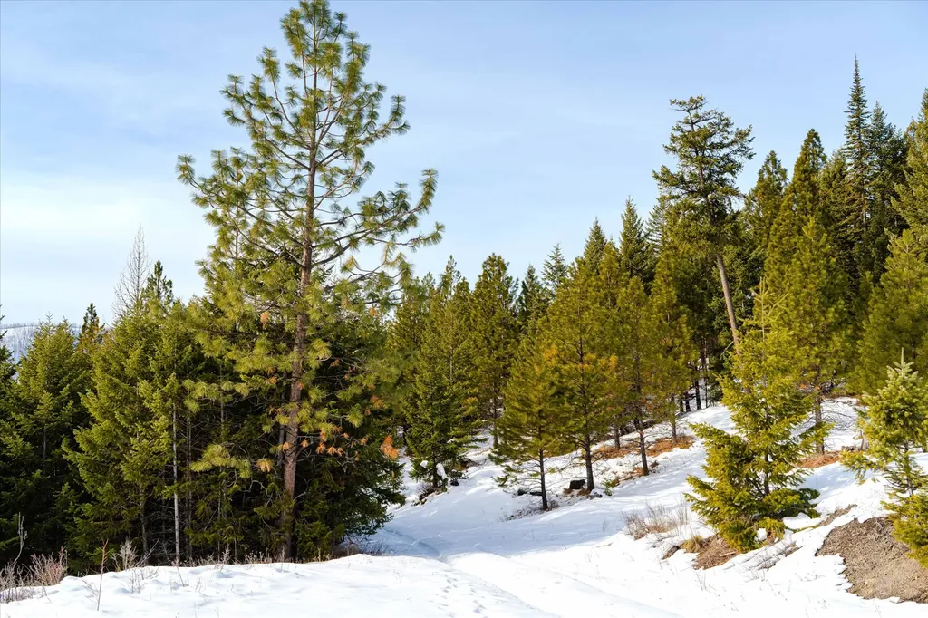 Nhn Whitney Lake Road Libby MT 59923