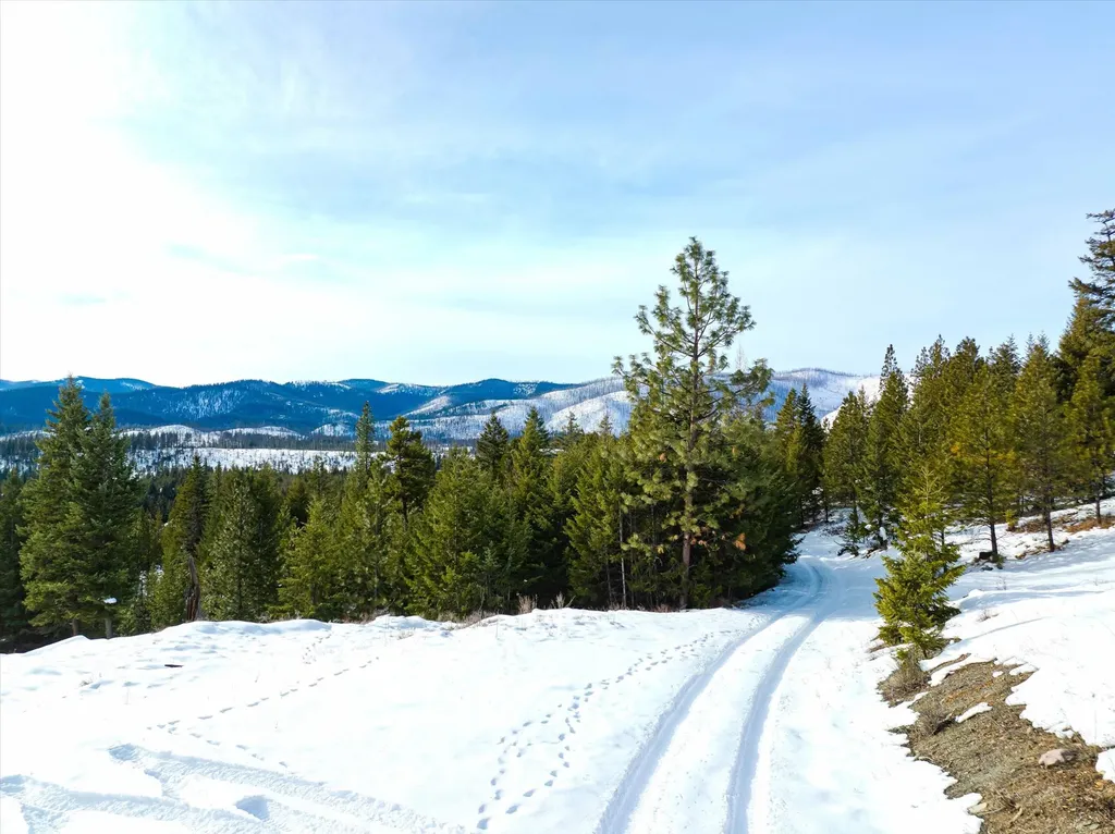 Nhn Whitney Lake Road Libby MT 59923