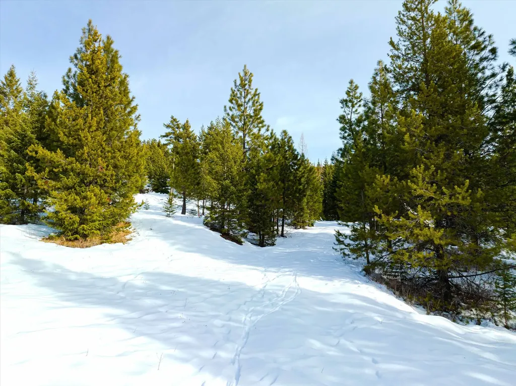 Nhn Whitney Lake Road Libby MT 59923
