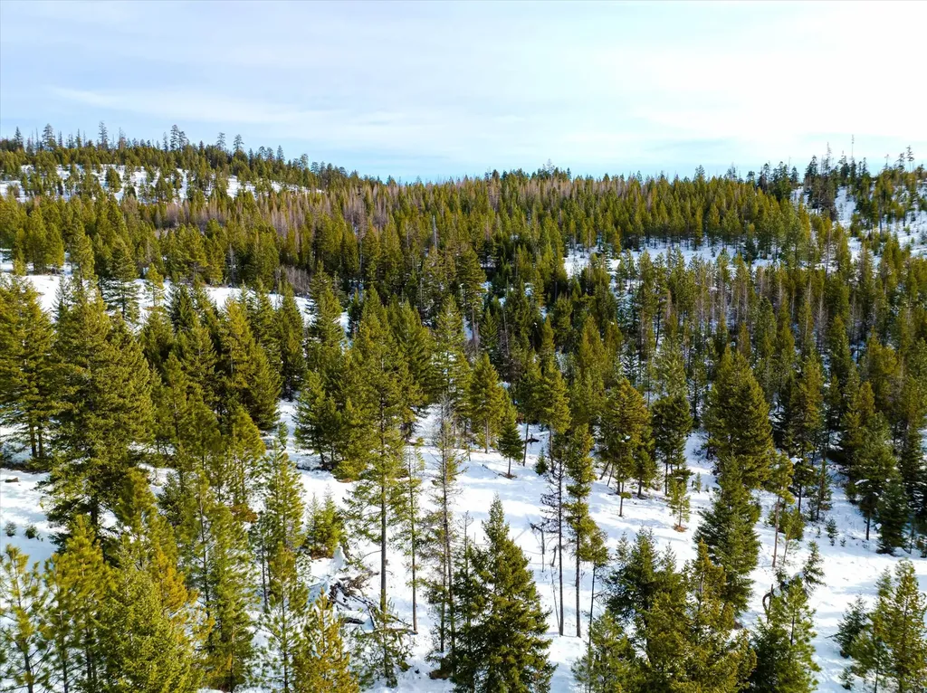 Nhn Whitney Lake Road Libby MT 59923