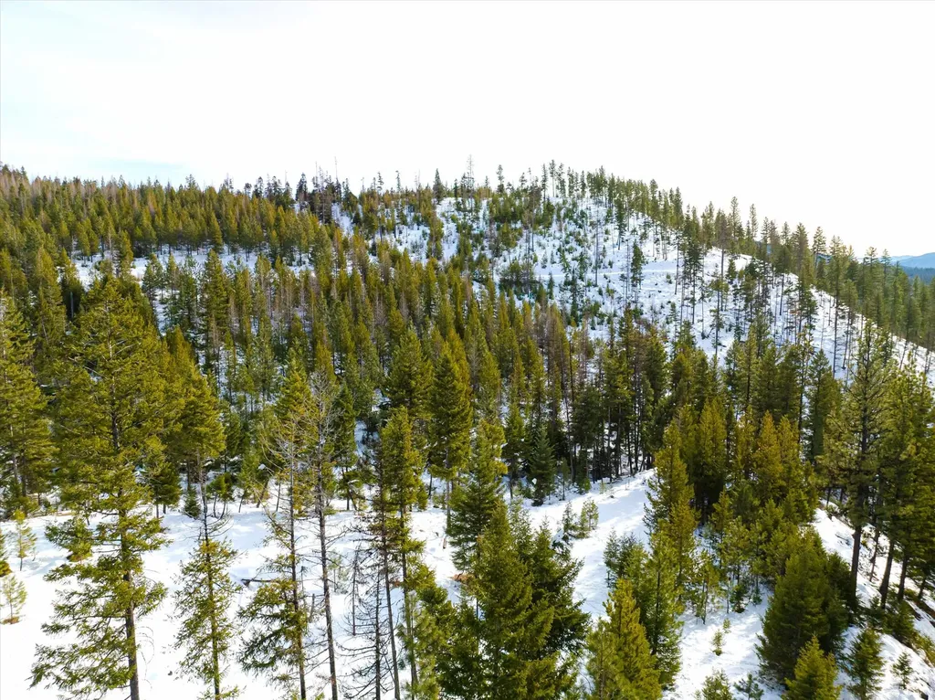 Nhn Whitney Lake Road Libby MT 59923