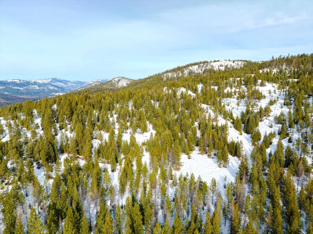 Nhn Whitney Lake Road Libby MT 59923