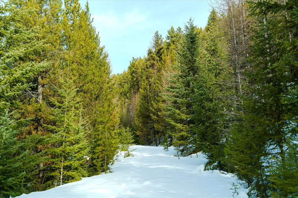 Nhn Whitney Lake Road Libby MT 59923