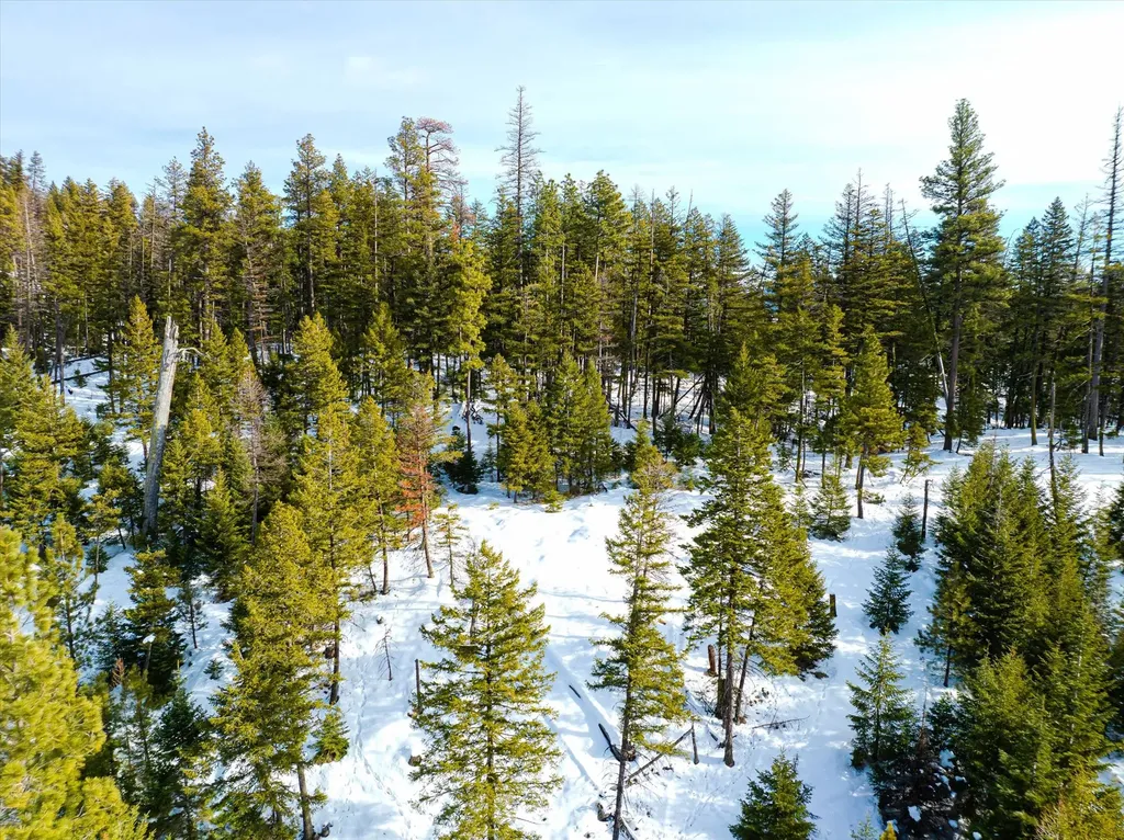 Nhn Whitney Lake Road Libby MT 59923