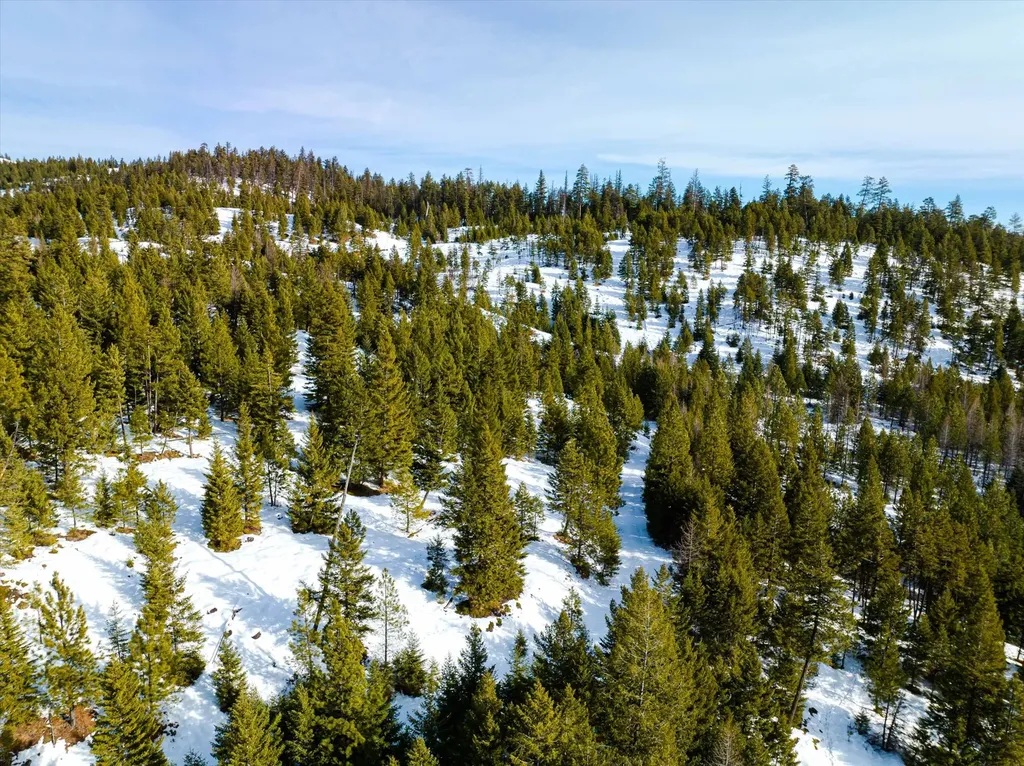Nhn Whitney Lake Road Libby MT 59923