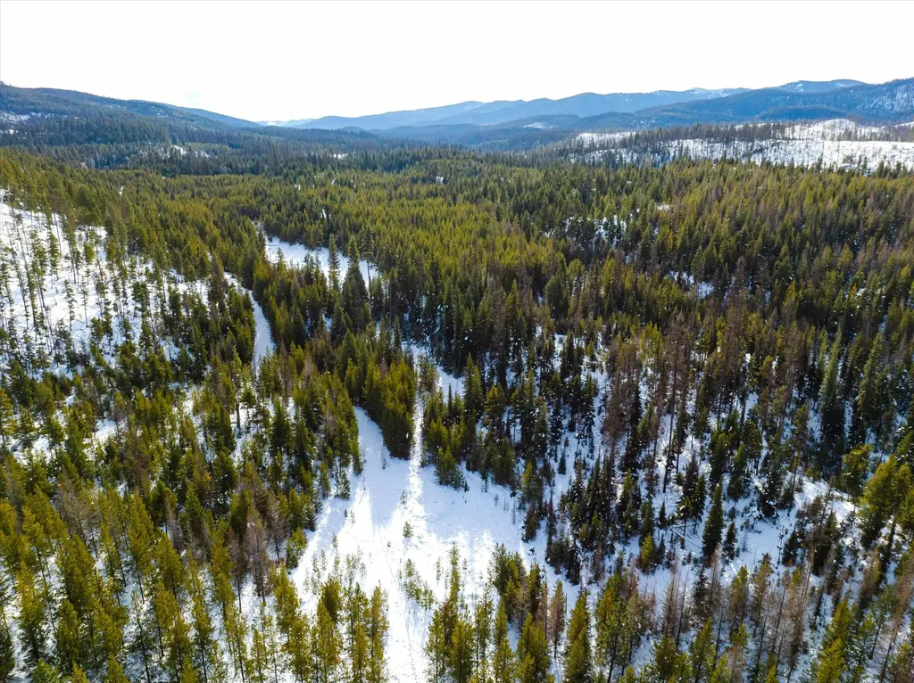 Nhn Whitney Lake Road Libby MT 59923