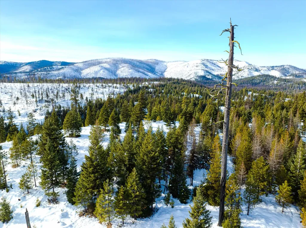 Nhn Whitney Lake Road Libby MT 59923