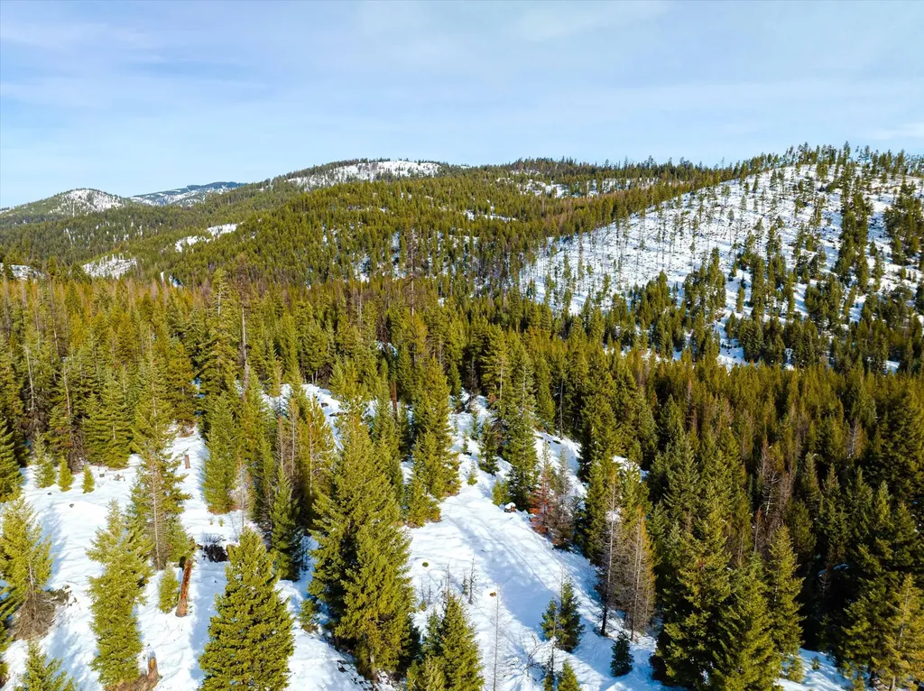 Nhn Whitney Lake Road Libby MT 59923
