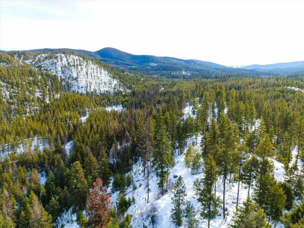 Nhn Whitney Lake Road Libby MT 59923