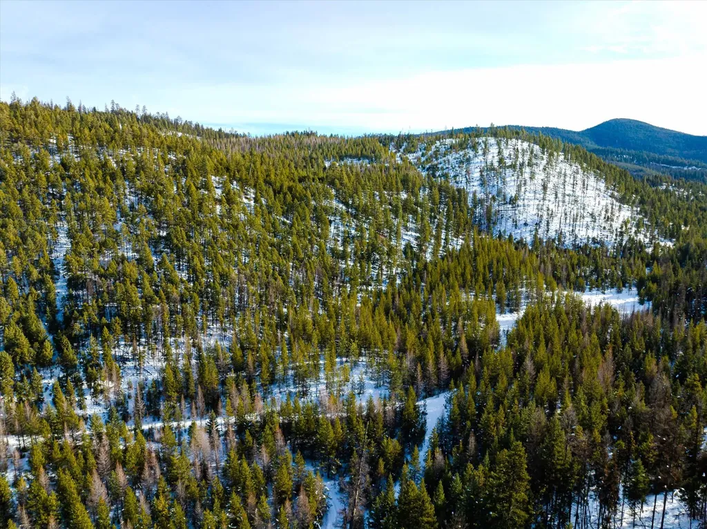 Nhn Whitney Lake Road Libby MT 59923