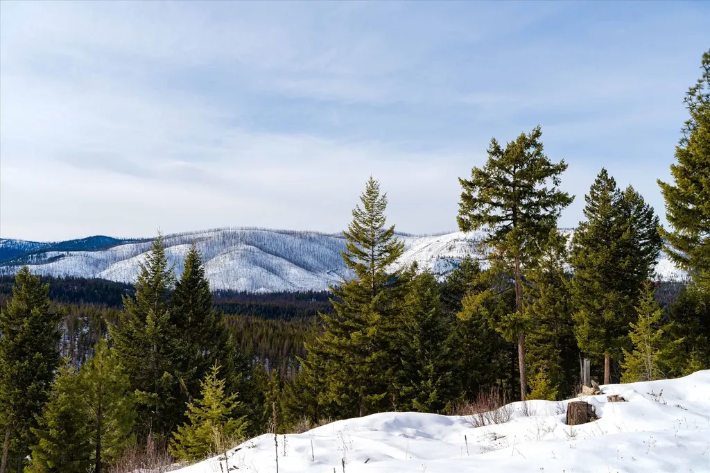 Nhn Whitney Lake Road Libby MT 59923