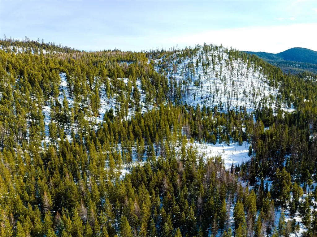 Nhn Whitney Lake Road Libby MT 59923