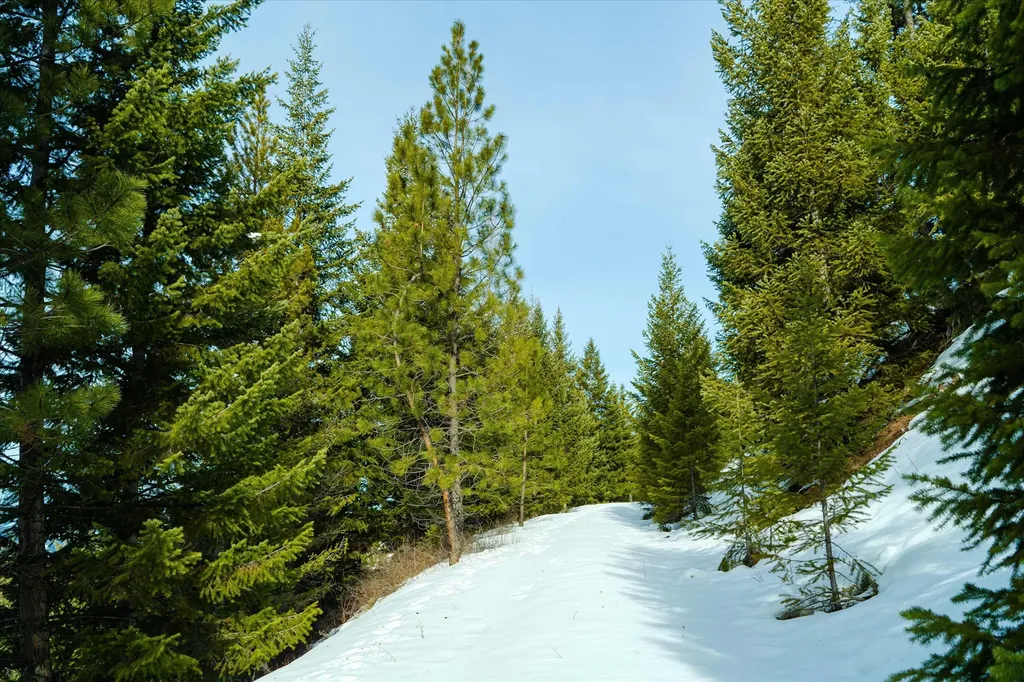 Nhn Whitney Lake Road Libby MT 59923
