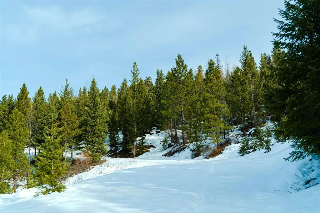 Nhn Whitney Lake Road Libby MT 59923