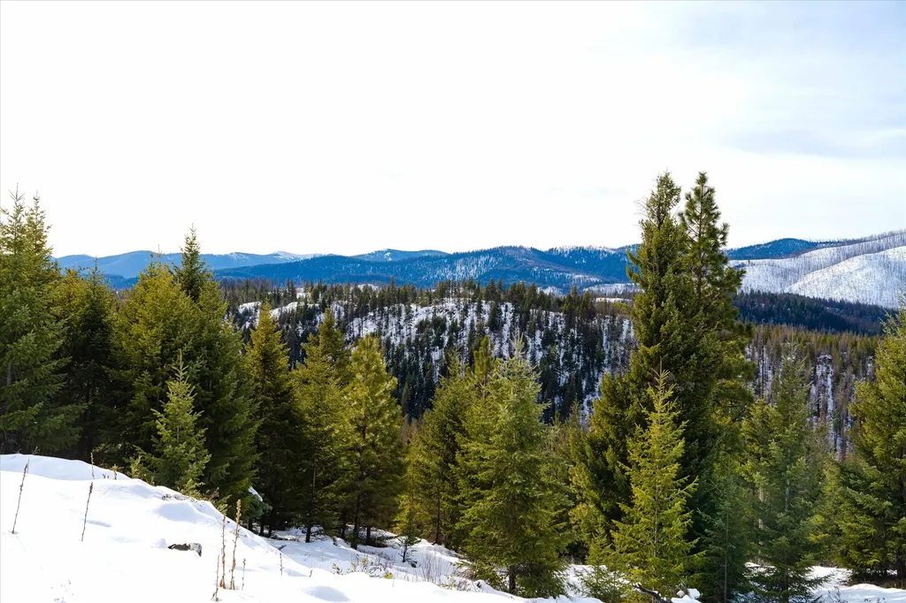 Nhn Whitney Lake Road Libby MT 59923