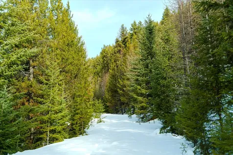 Nhn Whitney Lake Road Libby MT 59923