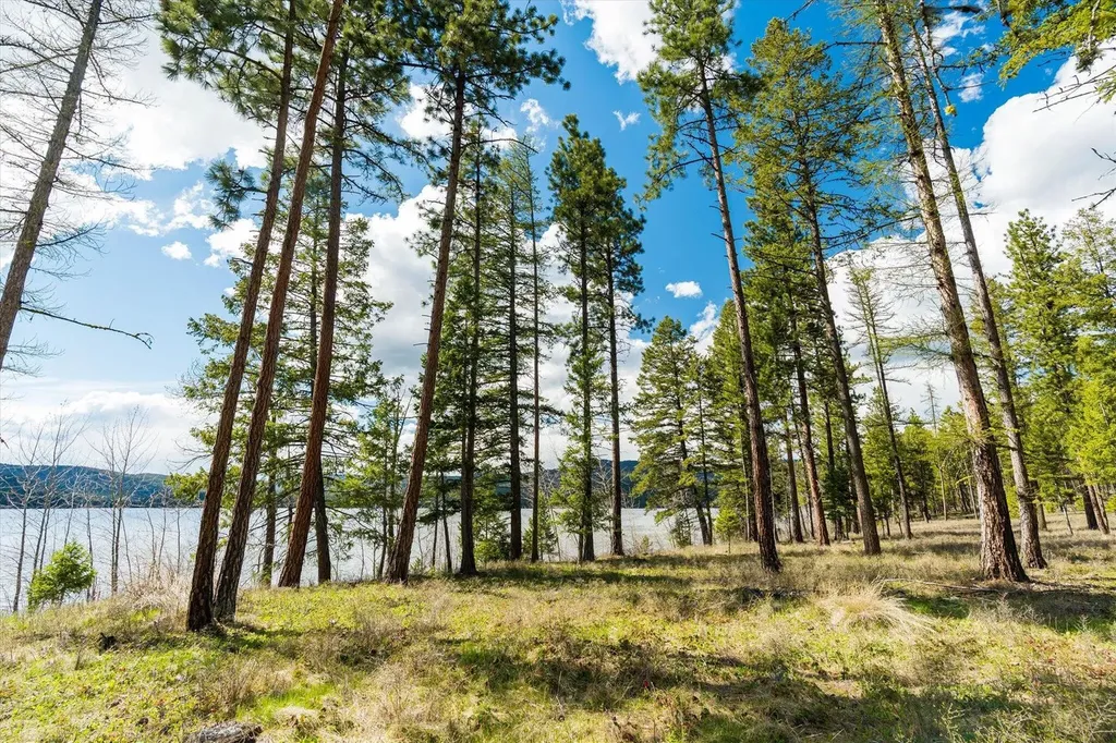 Tract B-2 Camp Tuffit Road Proctor MT 59929
