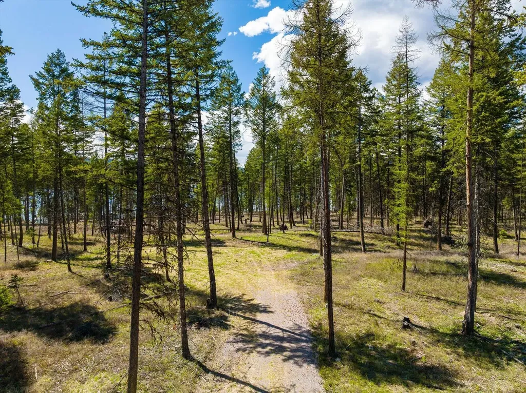 Tract B-2 Camp Tuffit Road Proctor MT 59929