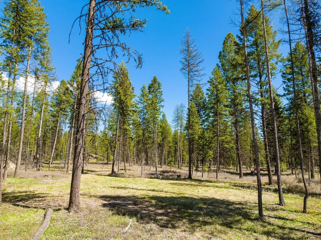 Tract B-2 Camp Tuffit Road Proctor MT 59929