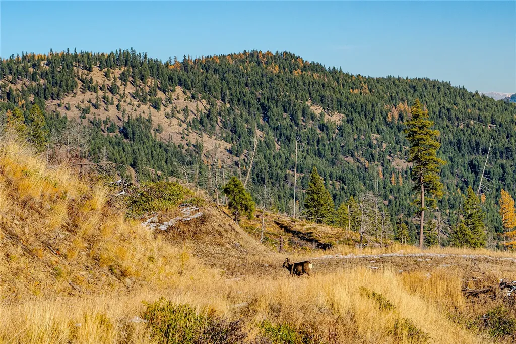 Nhn Vermillion Creek Road Libby MT 59923