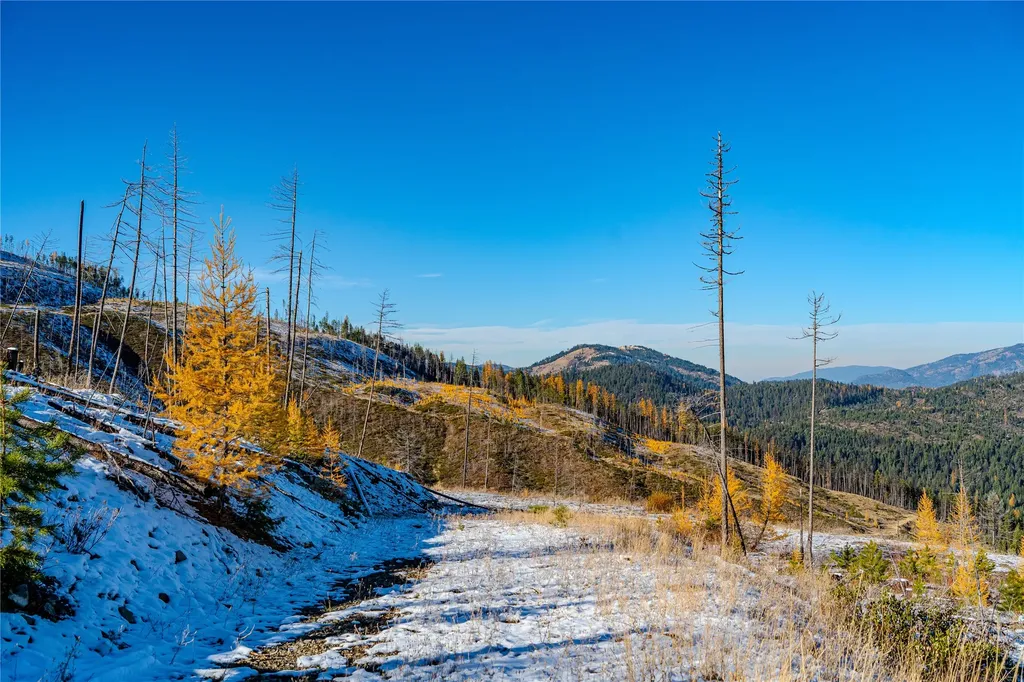 Nhn Vermillion Creek Road Libby MT 59923