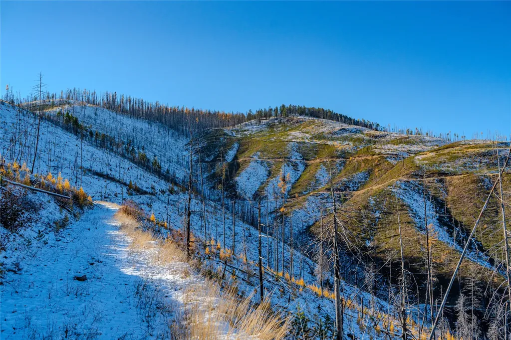 Nhn Vermillion Creek Road Libby MT 59923