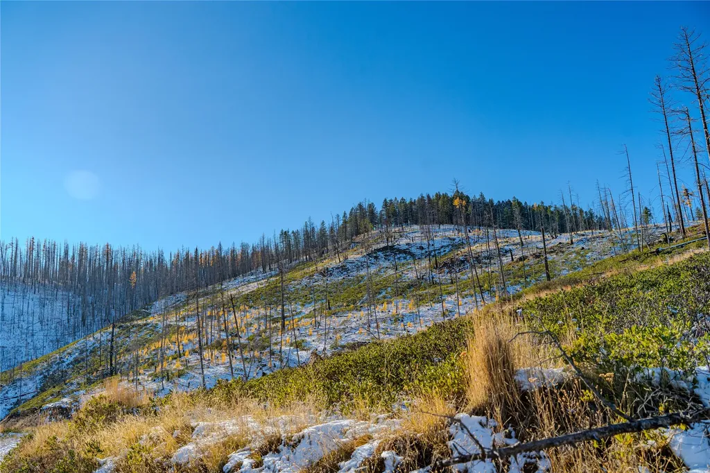 Nhn Vermillion Creek Road Libby MT 59923