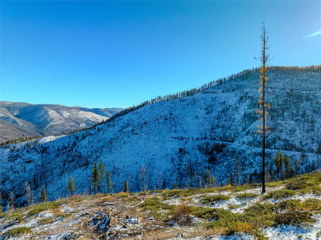 Nhn Vermillion Creek Road Libby MT 59923