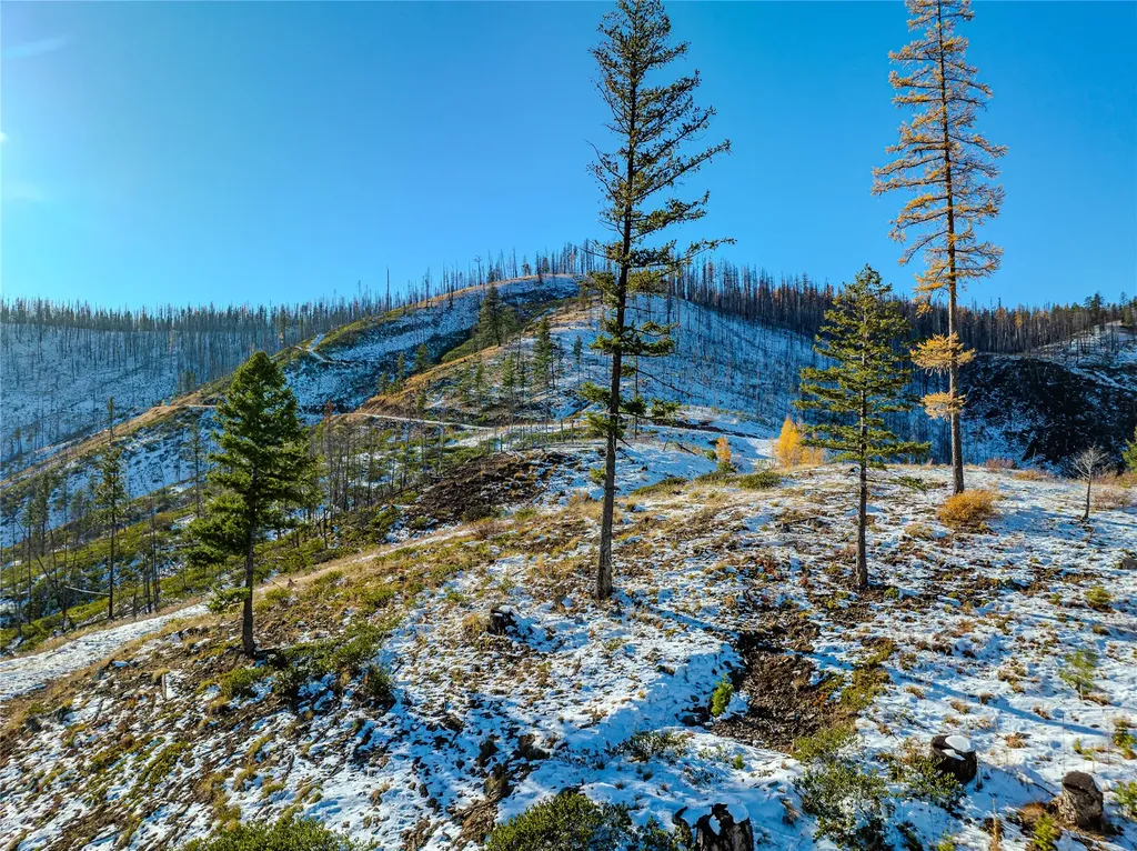 Nhn Vermillion Creek Road Libby MT 59923