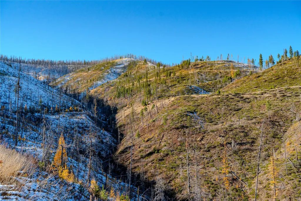 Nhn Vermillion Creek Road Libby MT 59923