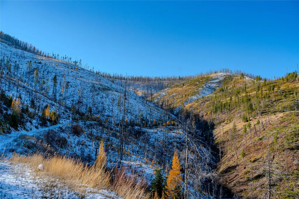 Nhn Vermillion Creek Road Libby MT 59923