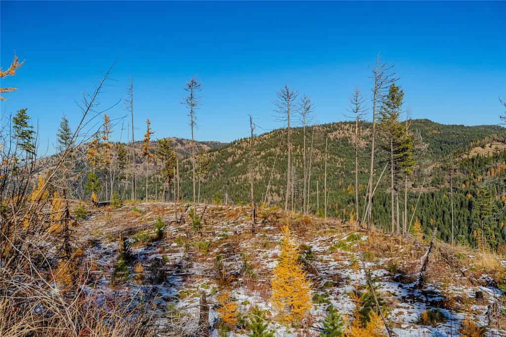 Nhn Vermillion Creek Road Libby MT 59923