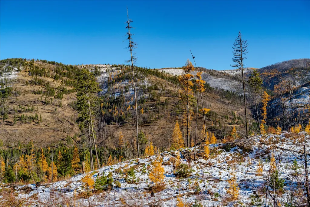 Nhn Vermillion Creek Road Libby MT 59923