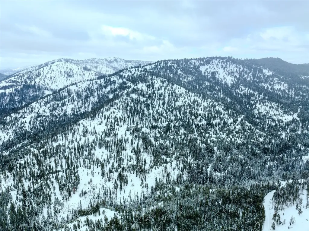 Nhn Mcginnis Meadows - Bayhorse Road Section 1 Libby MT 59923
