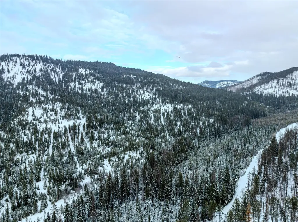 Nhn Mcginnis Meadows - Bayhorse Road Section 1 Libby MT 59923