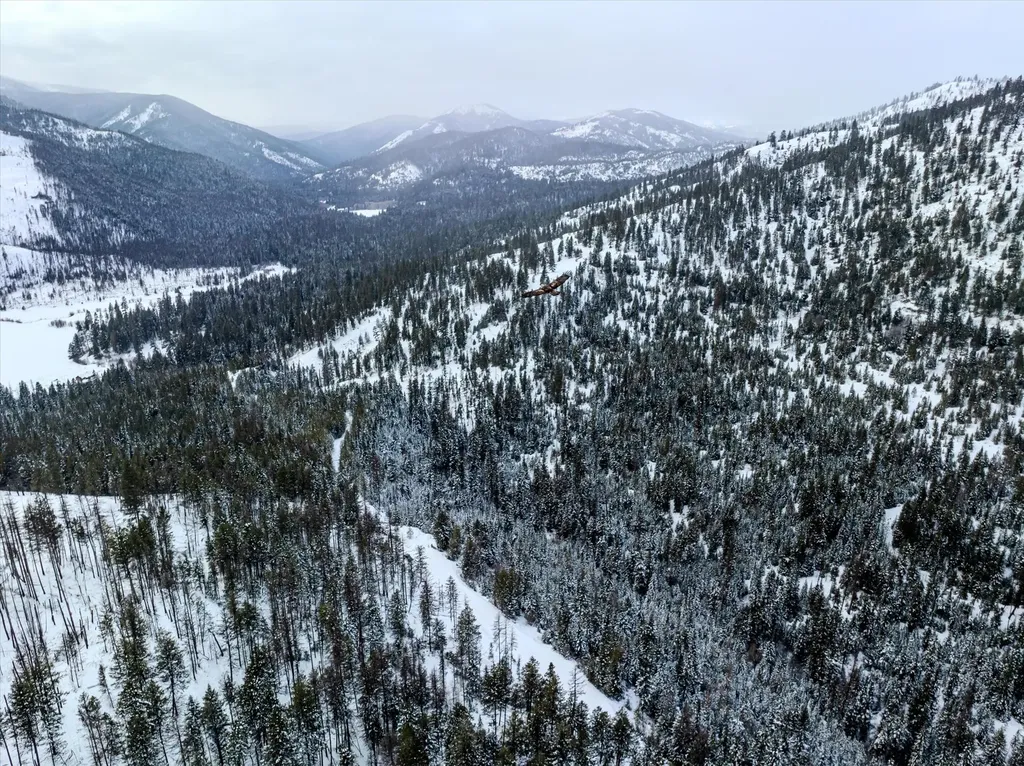 Nhn Mcginnis Meadows - Bayhorse Road Section 1 Libby MT 59923
