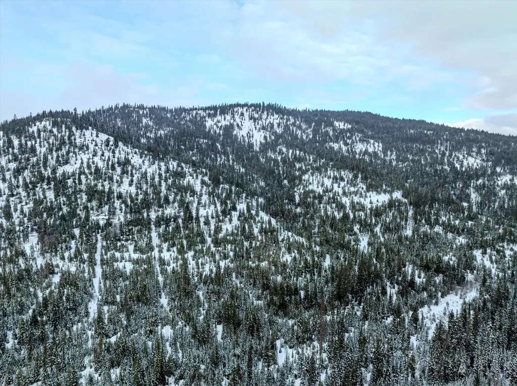 Nhn Mcginnis Meadows - Bayhorse Road Section 1 Libby MT 59923