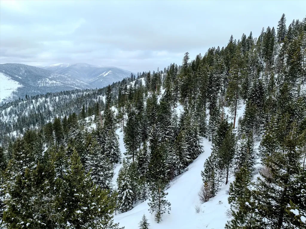 Nhn Mcginnis Meadows - Bayhorse Road Section 1 Libby MT 59923